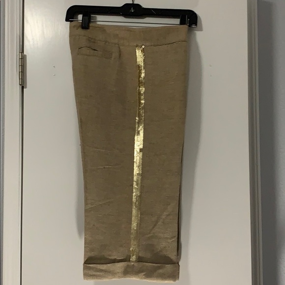 Anna Flint Cropped Pant with Sequin Detal - Picture 1 of 6